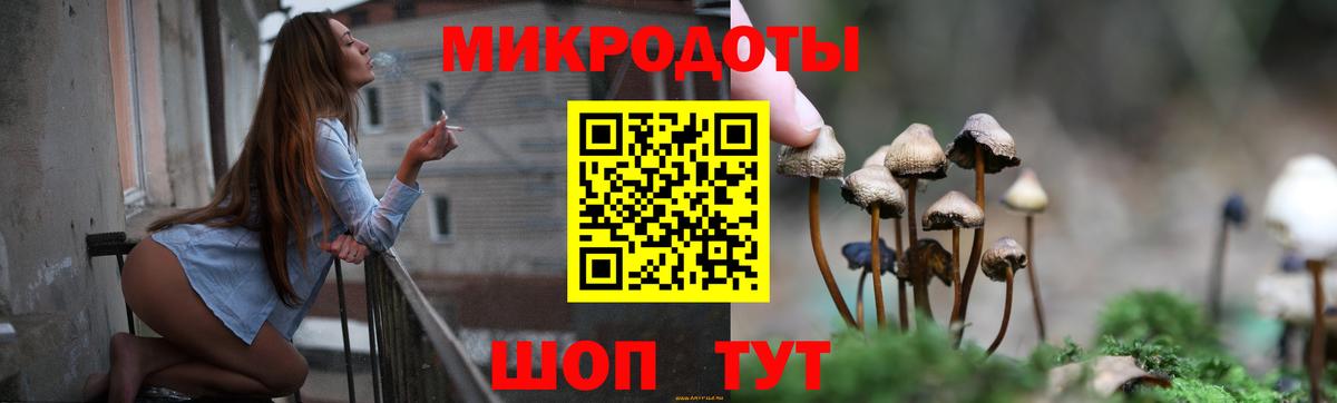 Псилоцибиновые грибы прущие грибы Полысаево